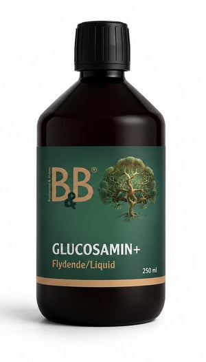B&B - Glucosamin+ Flydende