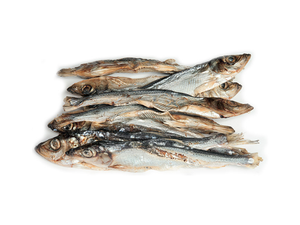 Labre Sild Sild – Barfcenter Nord