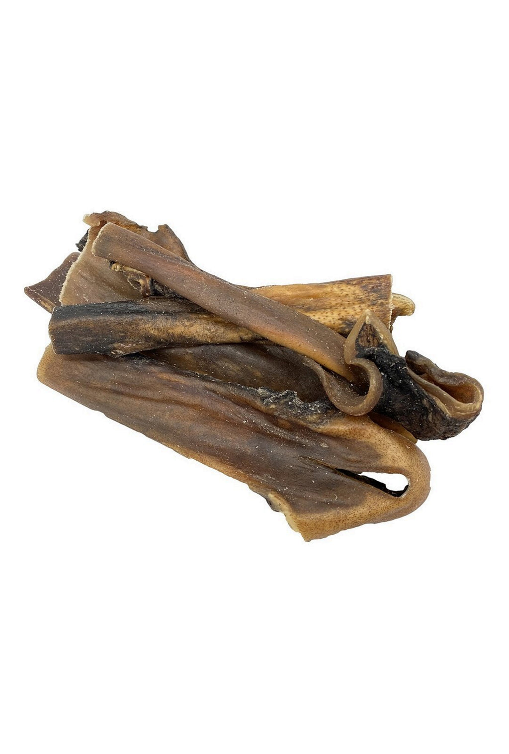 Kamelhud