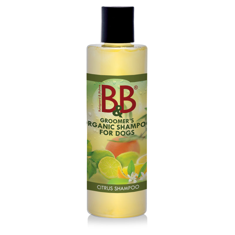 CITRUS SHAMPOO
