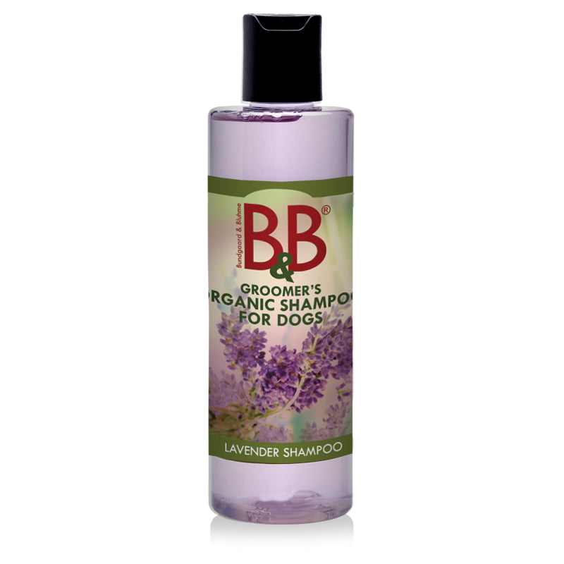 LAVENDEL SHAMPOO