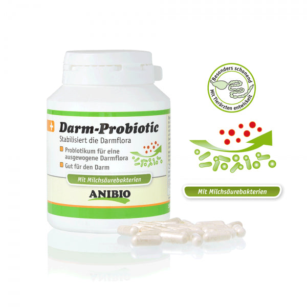 Darm Probiotic