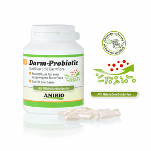 Darm Probiotic